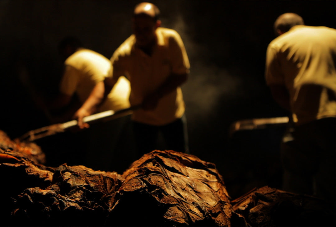The Definitive Guide to Premium Tequila: A 120-Year Legacy of Craft