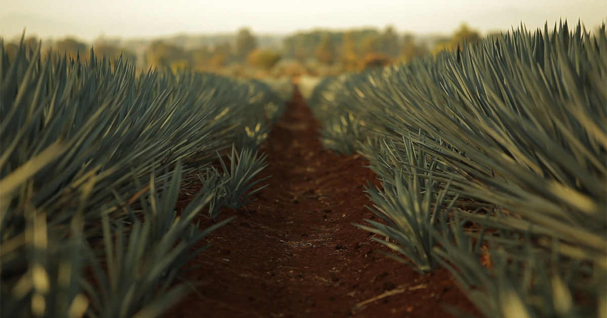 What's Legal, What's Not, and Why It's Not on the Label